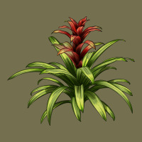Bromeliads Vintage Hoodie | Teevron
