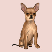 Chihuahua Premium Sweatshirt | Teevron