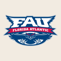 Us, Owls, Fau Premium Sweatshirt | Teevron