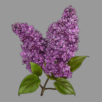 Purple Lilac Flower Vintage Hoodie | Teevron