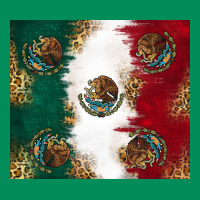 Mexican Flag Urban Hoodie | Teevron