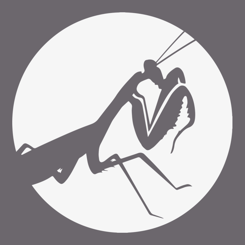 Praying Mantis Premium Sweatshirt by DesigneFamous | Teevron