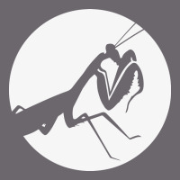 Praying Mantis Premium Sweatshirt | Teevron
