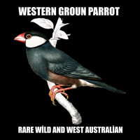 Western Ground Parrot Rare Wild And West Australian Long Sleeve Tee | Teevron