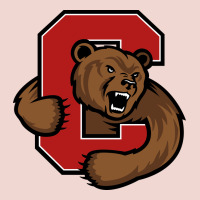 The Cornell Big Red Premium Sweatshirt | Teevron