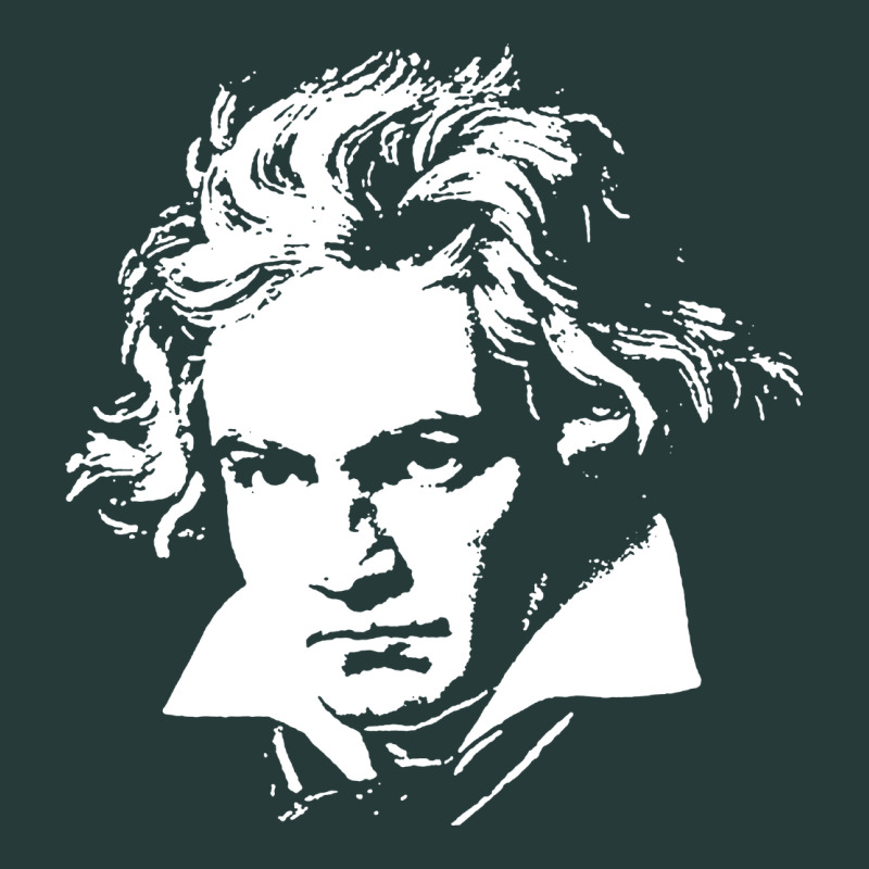 Beethoven Premium Sweatshirt by linhVisuals | Teevron