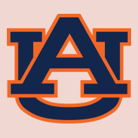 Auburn Tigers Premium Sweatshirt | Teevron
