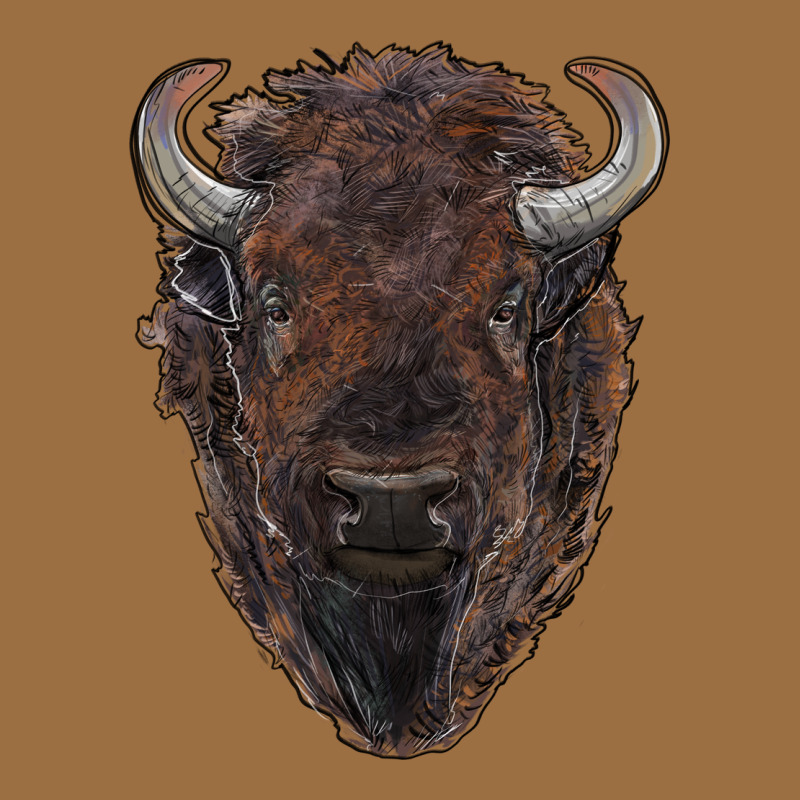 American Bison Vintage Tee by RanaPortraitStore | Teevron