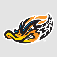 Akron-rubber-ducks Premium Sweatshirt | Teevron