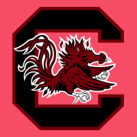 The Gamecocks Athletics Premium Sweatshirt | Teevron