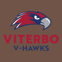 V-h4wks, Viterbo, Education Premium Sweatshirt | Teevron