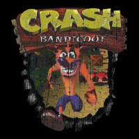 Crash Bandicoot 1966 Premium Sweatshirt | Teevron