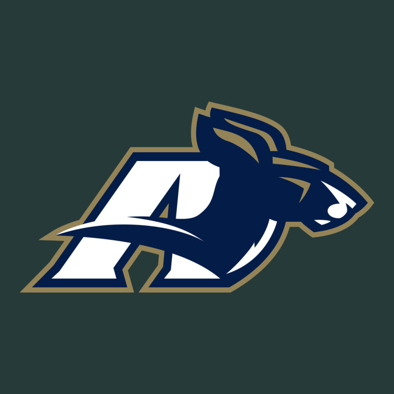 Akron University Zips Premium Sweatshirt by linhVisuals | Teevron