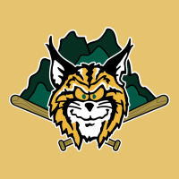 Lynchburg Hillcats Baseball Premium Sweatshirt | Teevron