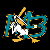 The Myrtle Beach Pelicans Baseball Premium Sweatshirt | Teevron