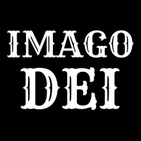 Imago Dei Image Of God Christian T Shirt Reformed Jesus Premium Sweatshirt | Teevron