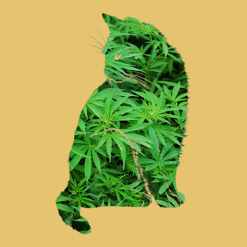 Funny Cannabis & Cat Lover Marijuana Weed Smoker Art T Shirt Premium Sweatshirt by linhVisuals | Teevron