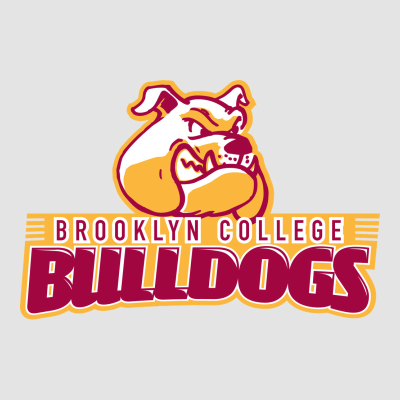 Brooklyn College Premium Sweatshirt by linhVisuals | Teevron