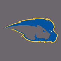 Hofstra Pride Premium Sweatshirt | Teevron
