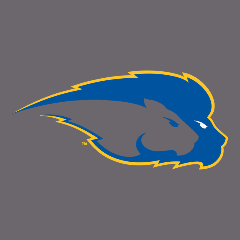 Hofstra Pride Premium Sweatshirt by linhVisuals | Teevron