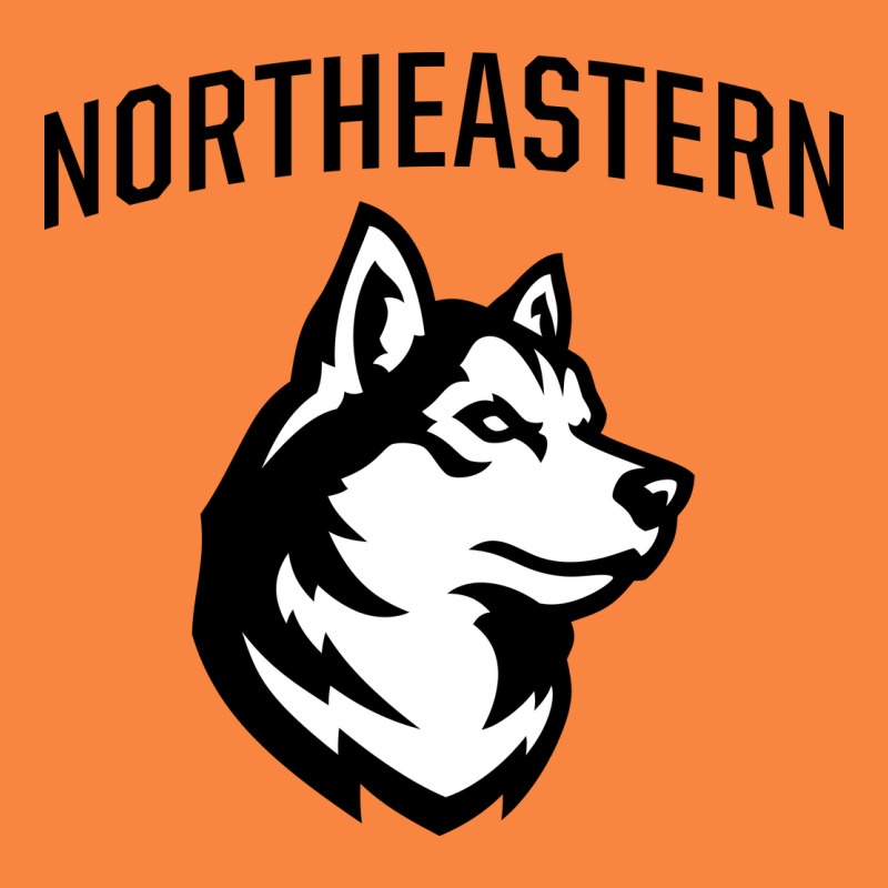 Northeastern Huskies Premium Sweatshirt by linhVisuals | Teevron