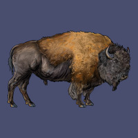 American Bison Body Vintage Tee | Teevron