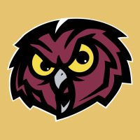 Temple Owls Premium Sweatshirt | Teevron