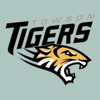 Towson Tigers Premium Sweatshirt | Teevron
