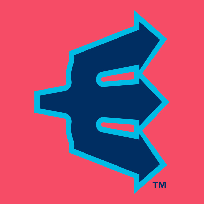 Everett Aquasox Premium Sweatshirt by linhVisuals | Teevron