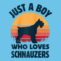 Schnauzer Just A Boy Who Loves Dogs Men Retro Vintage Sunset Raglan Ba Premium Sweatshirt | Teevron