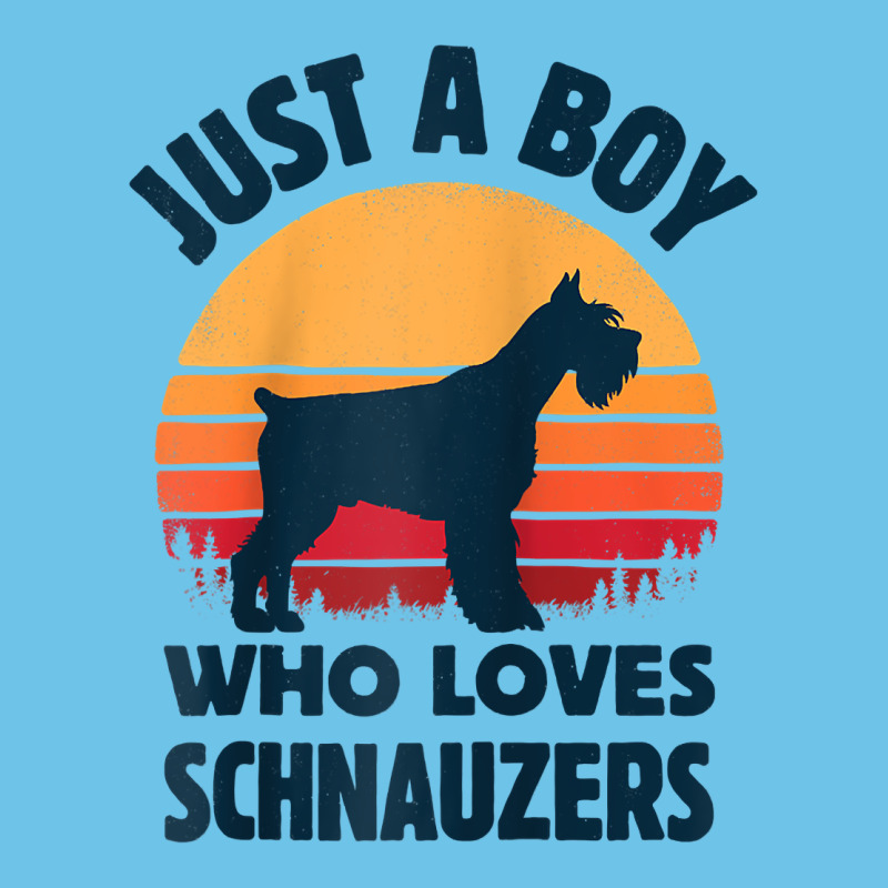 Schnauzer Just A Boy Who Loves Dogs Men Retro Vintage Sunset Raglan Ba Premium Sweatshirt by linhVisuals | Teevron