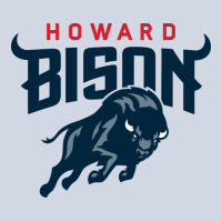 Howard Bison Premium Sweatshirt | Teevron