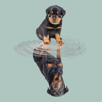 Rottweiler Reflection T Shirt Funny Father's Day Dog Gifts Premium Sweatshirt | Teevron