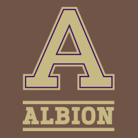 Albion College Athleticpurple Premium Sweatshirt | Teevron