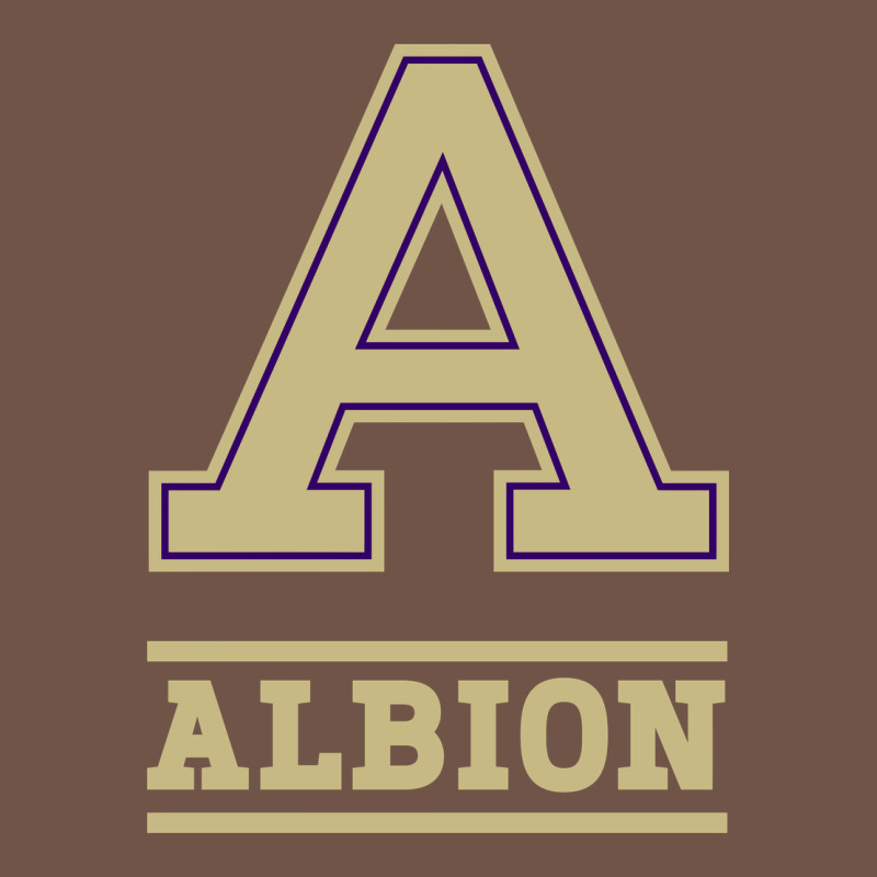 Albion College Athleticpurple Premium Sweatshirt by linhVisuals | Teevron