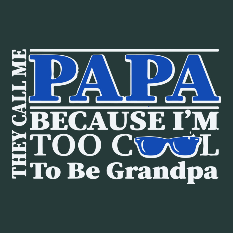 They Call Me Papa Because I'm Too Cool To Be Grandpa Premium Sweatshirt by linhVisuals | Teevron