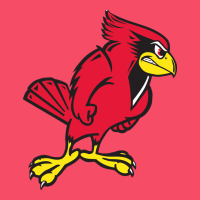Illinois State Redbirds Premium Sweatshirt | Teevron