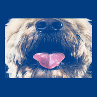 Labradoodle T  Shirtfunny Labradoodle Face Mask Funny Dog Mouth T  Shi Premium Sweatshirt | Teevron