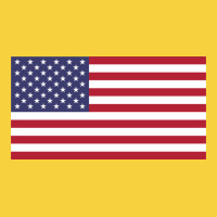 American Flag Premium Sweatshirt | Teevron