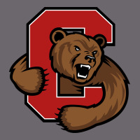 Cornell Premium Sweatshirt | Teevron