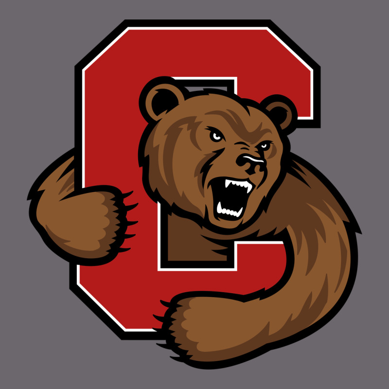 Cornell Premium Sweatshirt by linhVisuals | Teevron