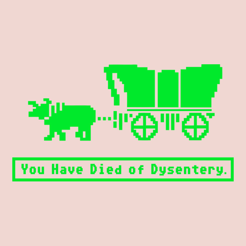 You Have Died Of Dysentery Oregon Trail Premium Sweatshirt by linhVisuals | Teevron