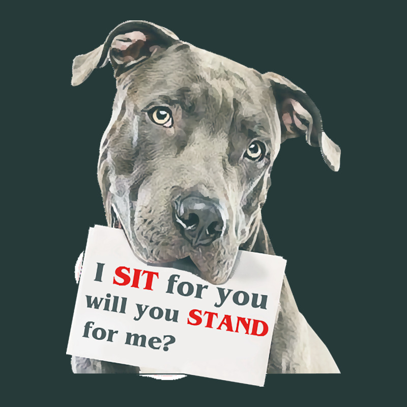 Pitbull T  Shirt I Sit For You Will You Stand For Me T  Shirt Premium Sweatshirt by linhVisuals | Teevron