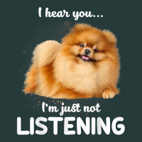 Pomeranian I Hear You Not Listening T Shirt Premium Sweatshirt | Teevron