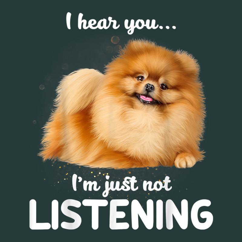 Pomeranian I Hear You Not Listening T Shirt Premium Sweatshirt by linhVisuals | Teevron