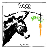 the wood brothers blues | Teevron