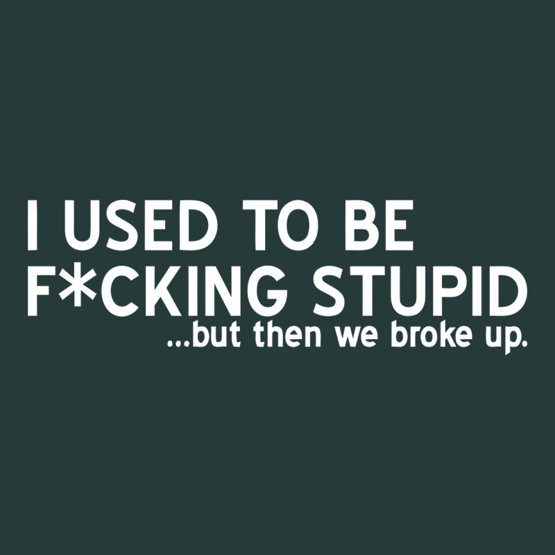 I Used To Be F Cking Stupid Premium Sweatshirt by linhVisuals | Teevron