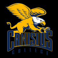 Canisius Golden Griffins Premium Sweatshirt | Teevron