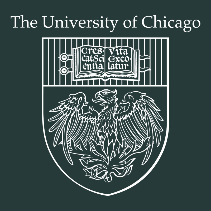 Chicago Premium Sweatshirt by linhVisuals | Teevron