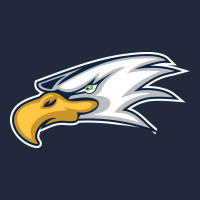 Eagle High School Premium Sweatshirt | Teevron